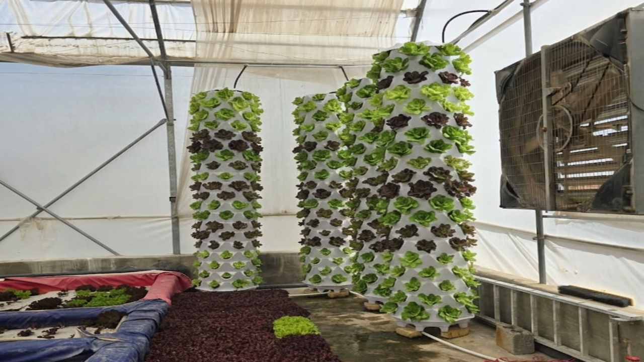 ​🌱 Why Industrial Vertical Farming via Hydroponic Towers is a Game-Changer in Europe 🇪🇺