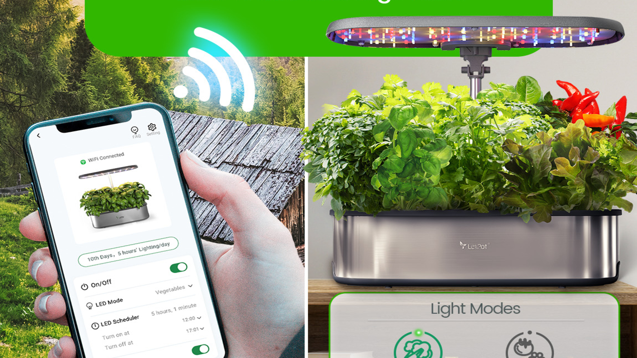 The Future of Indoor Farming is in Your Hands: Smart, Organic, and Affordable